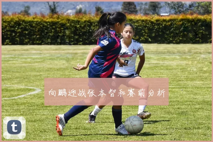 向鹏迎战张本智和赛前分析