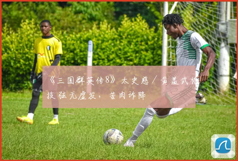 《三国群英传8》太史慈／黄盖武将技 弦无虚发，苦肉诈降