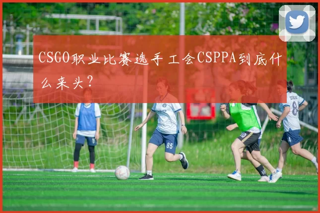 CSGO职业比赛选手工会CSPPA到底什么来头？