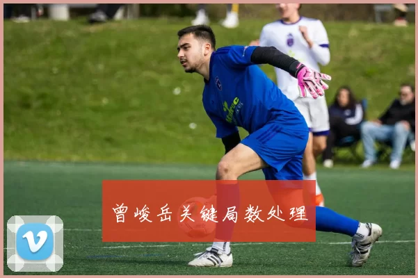 曾峻岳关键局数处理