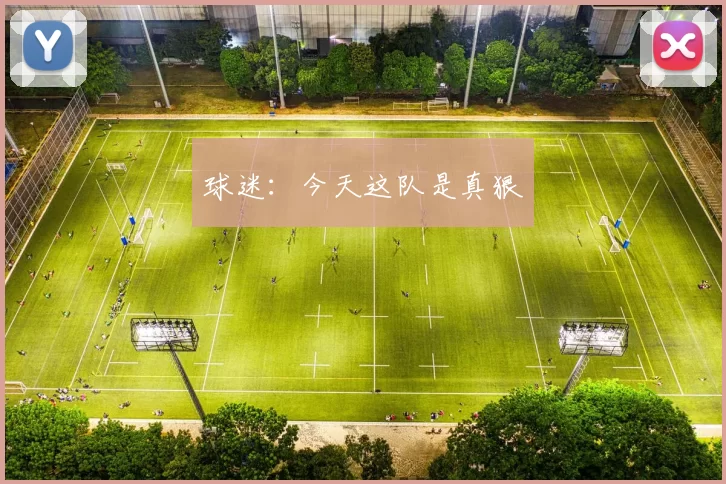 球迷：今天这队是真狠