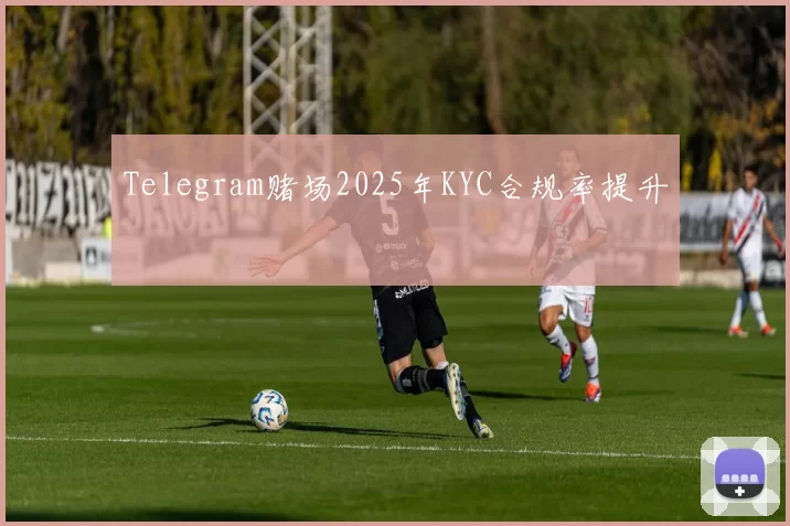 Telegram赌场2025年KYC合规率提升