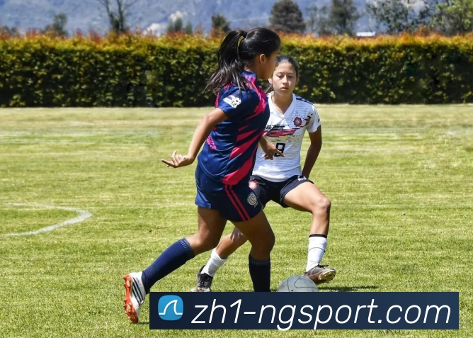 ng体育发展历程